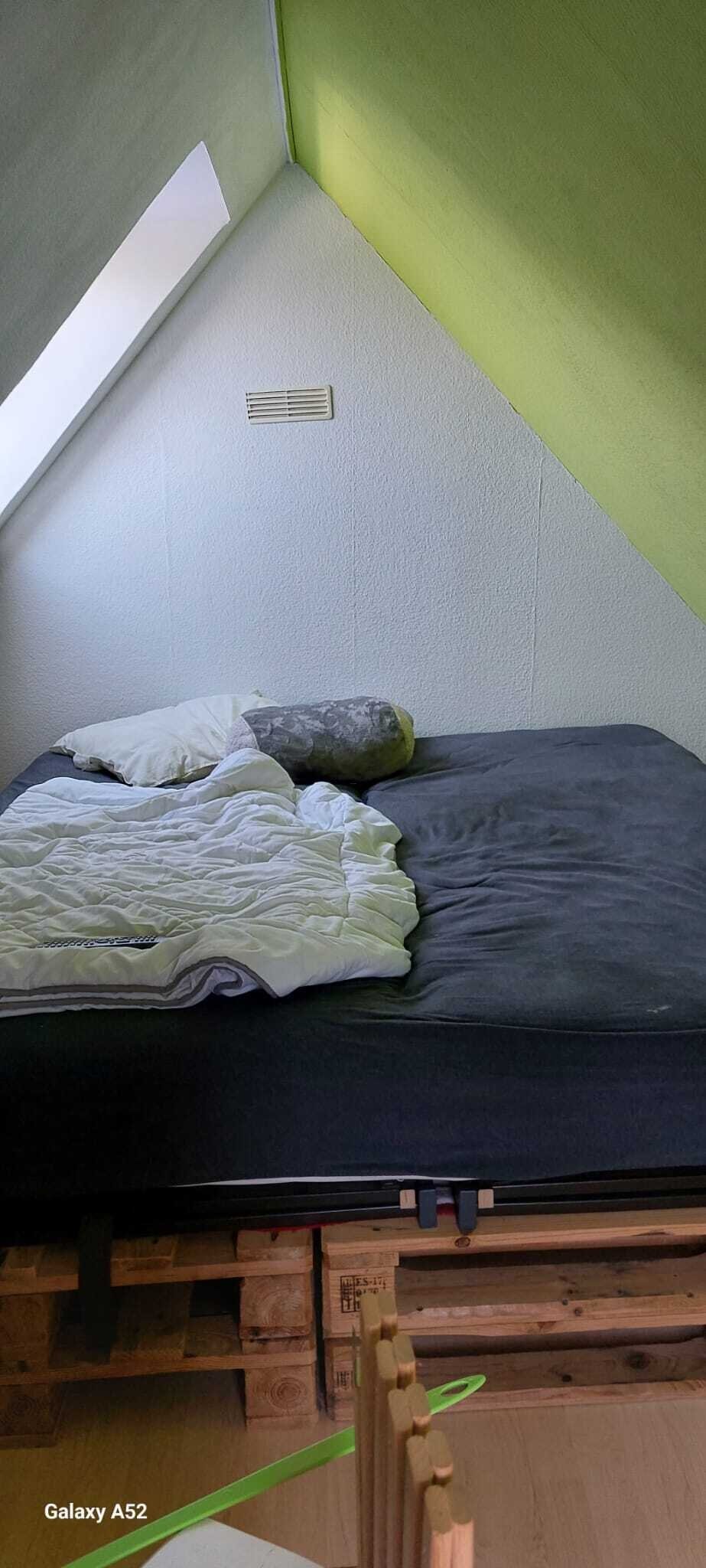 Wohnen im Großraum Ribnitz-Damgarten