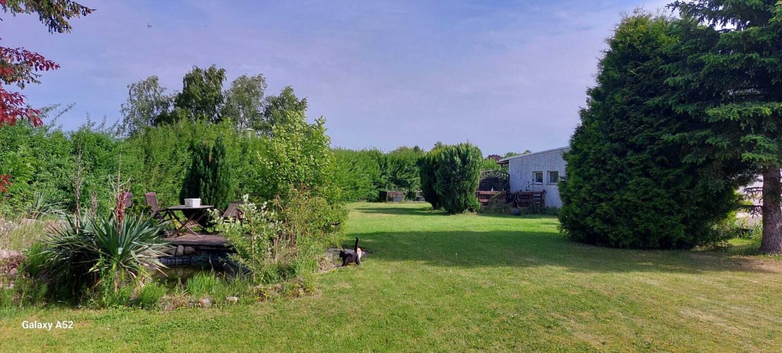 Wohnen im Großraum Ribnitz-Damgarten