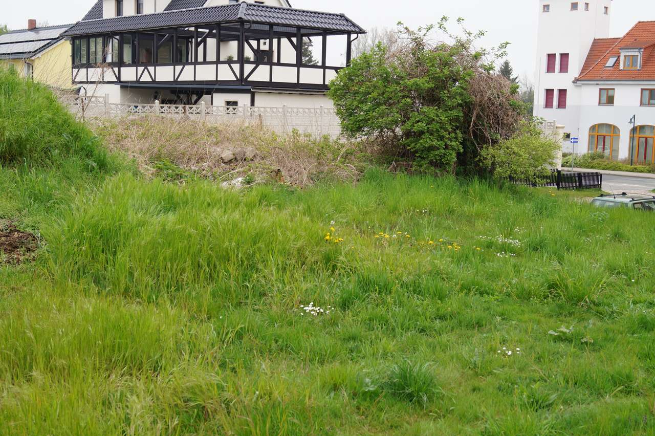 Blick zum Nachbarhaus Blick zum Nachbarhaus