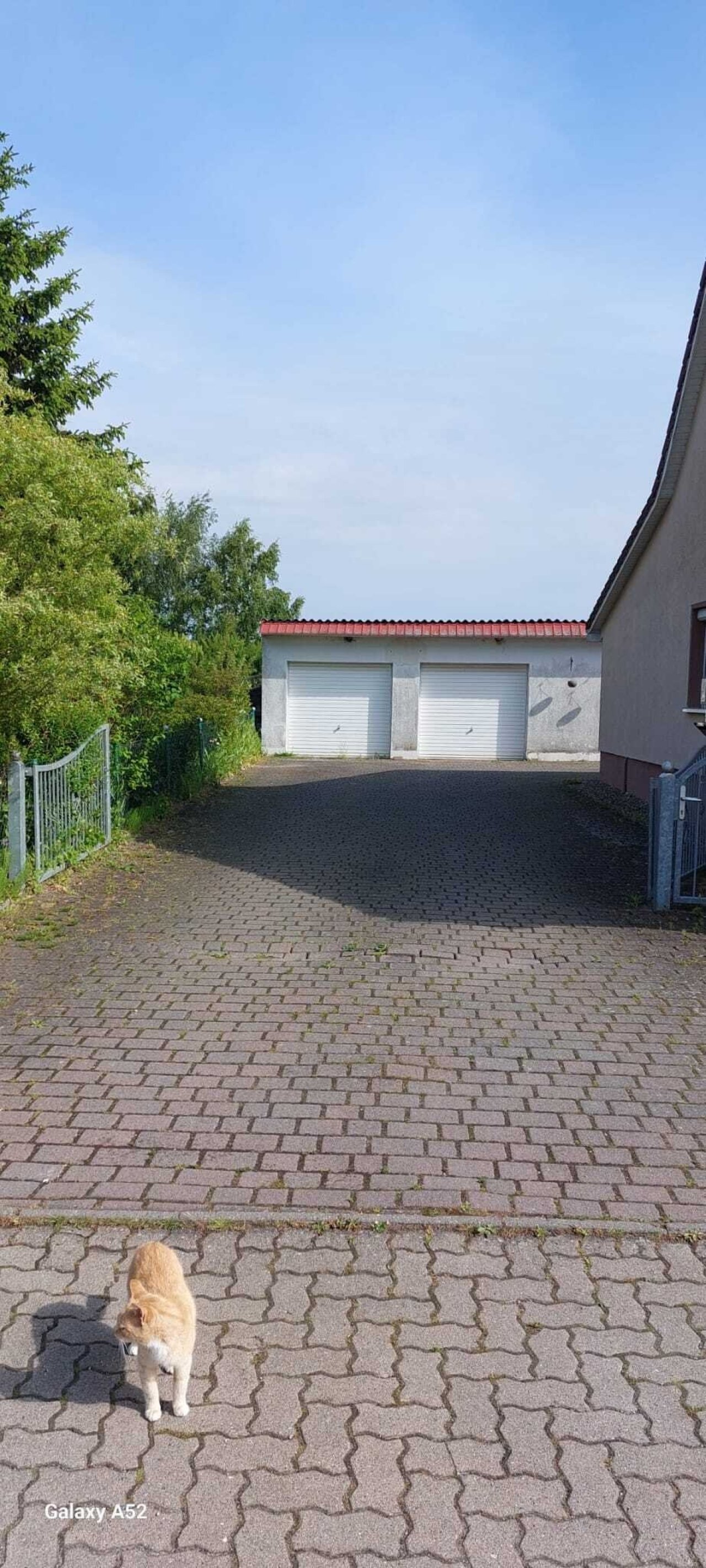 Hofzufahrt Hofzufahrt